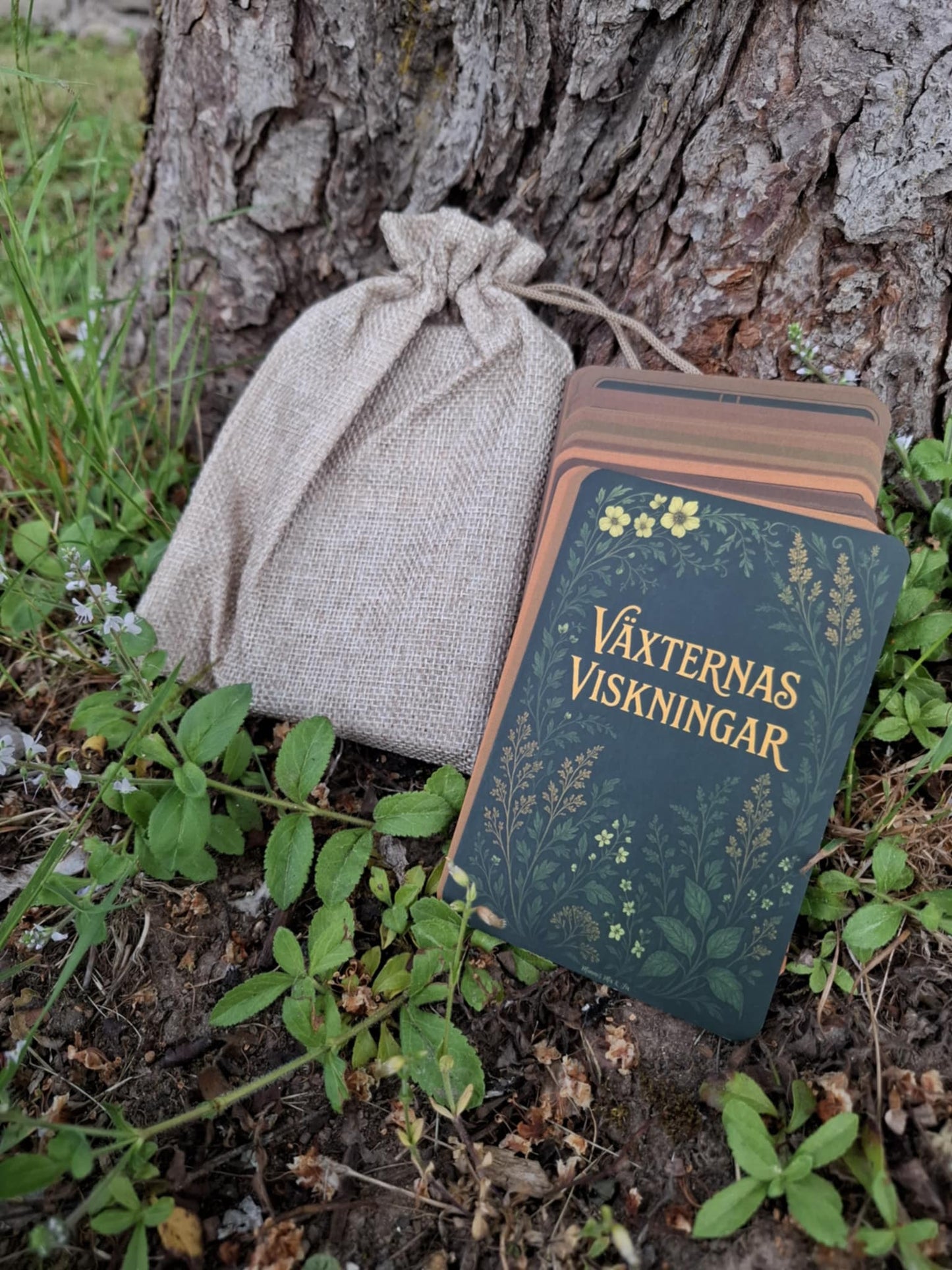 VÄXTERNAS VISKNINGAR - en affirmationskortsamling