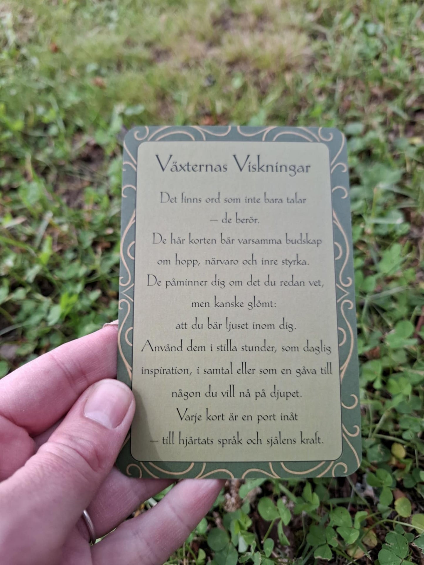 VÄXTERNAS VISKNINGAR - en affirmationskortsamling