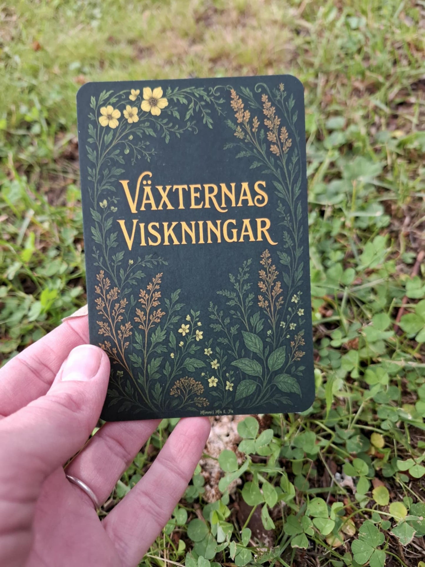 VÄXTERNAS VISKNINGAR - en affirmationskortsamling